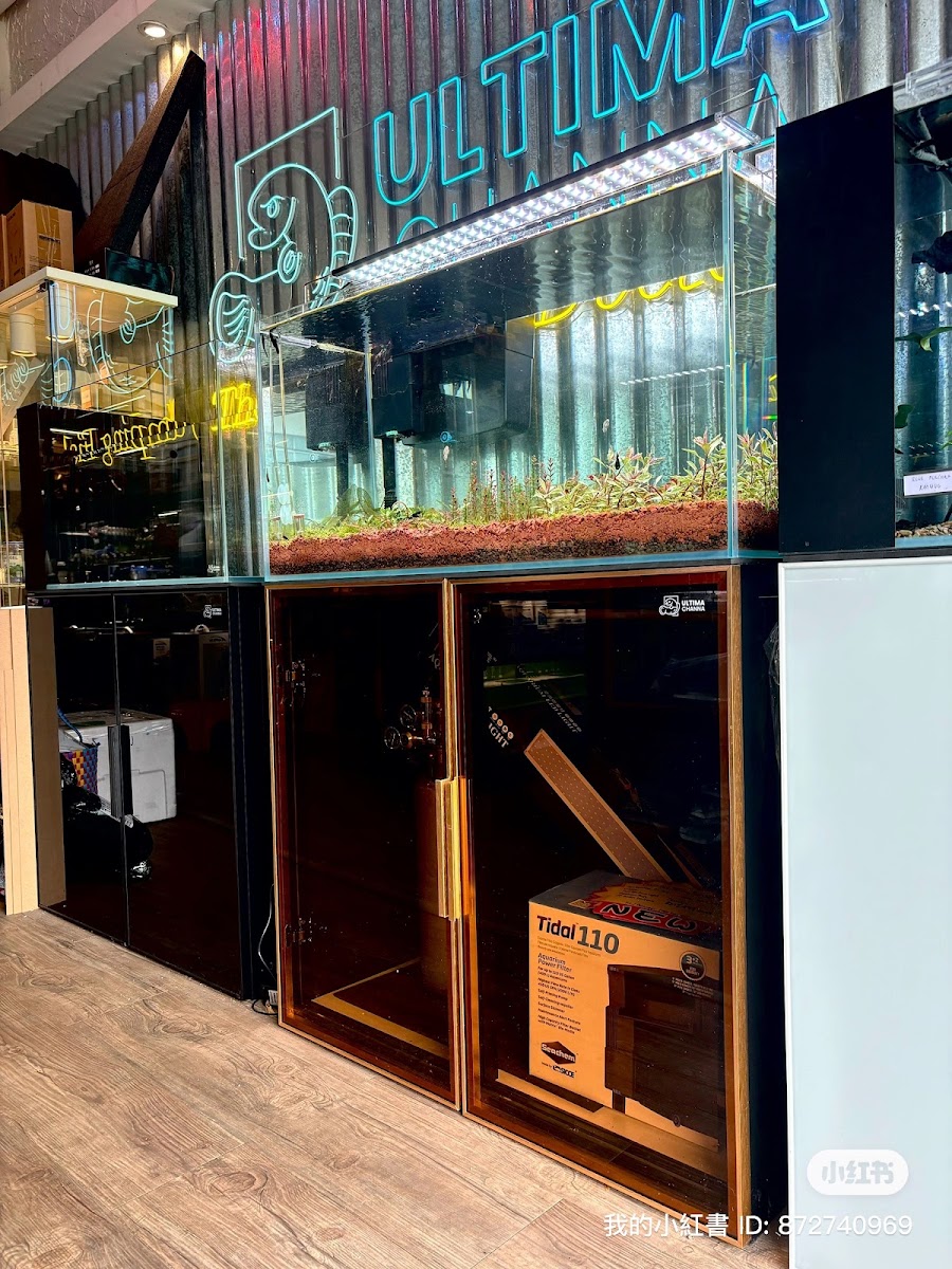 Ultima Channa Taman OUG (Aquarium Shop) · Aquarium shop · Taman Overseas Union